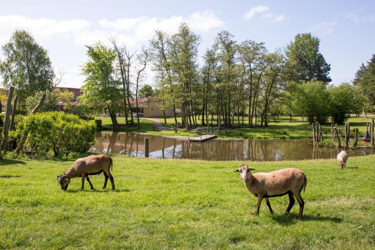 Fjelsted Skov Hotel & Konference Ejby  Экстерьер фото